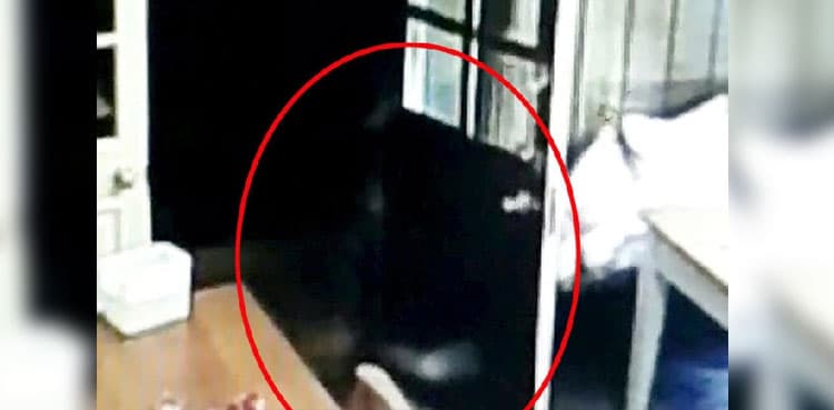 Eerie 'ghost' following waitress caught on CCTV