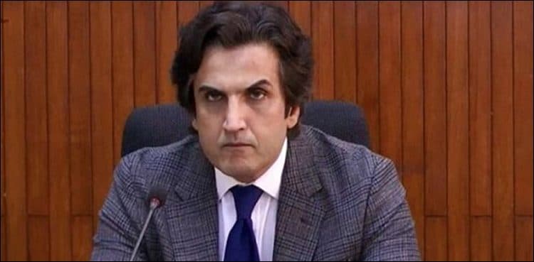 'CPEC is an important pillar of Pakistan's economic structure'