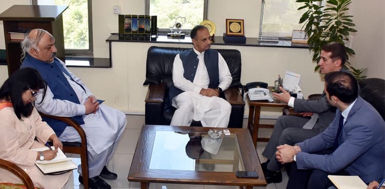 Govt striving to promote investment in energy sector: Omar Ayub