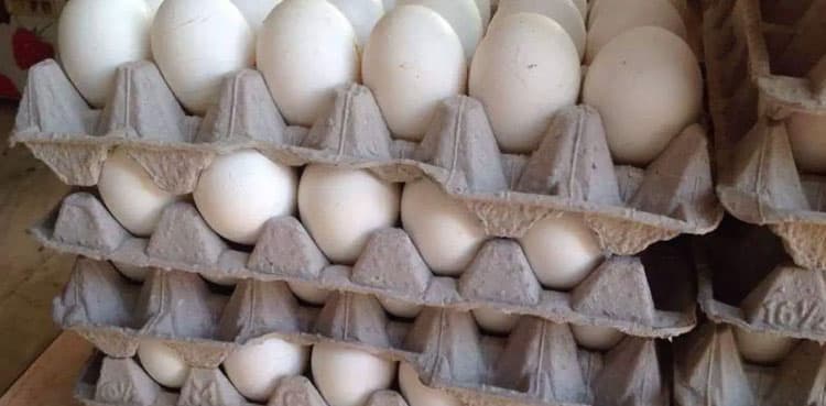 Police arrest shopkeeper for selling 'plastic eggs' in Karachi