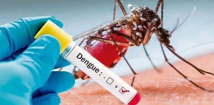 Two more die in Rawalpindi due to dengue virus