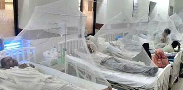 2,823 dengue cases reported from Balochistan this year