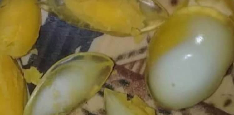 Lab test finds ‘plastic eggs’ as chicken eggs in Karachi