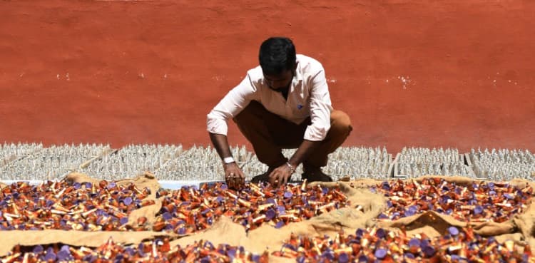 India's firecracker hub hit by anti-pollution drive