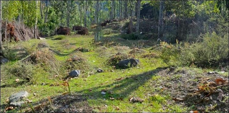 Buried evidence: 2009 report spoke of 2700 mass graves in Occupied Kashmir