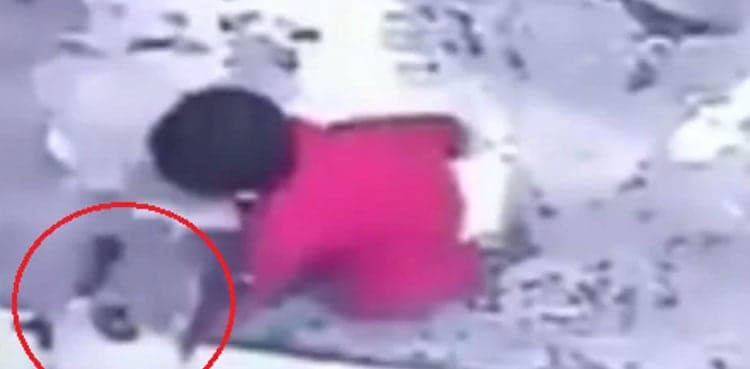 WATCH: Cat saves toddler from tumbling down stairs