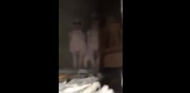 Aliens or something else? Spooky-looking creatures spotted on camera