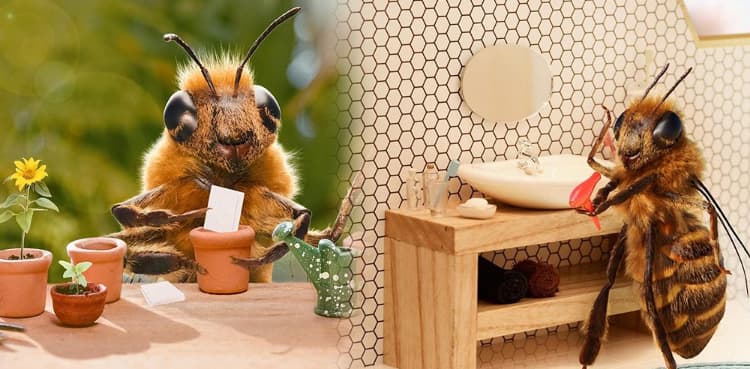 Viral 'bee' becomes latest Instagram sensation
