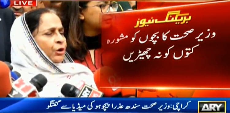 Dogs being culled, vaccinated across Sindh: Azra Pechuho