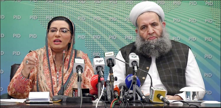 'Govt can't be blackmailed': Awan hits back at Maulana Fazl