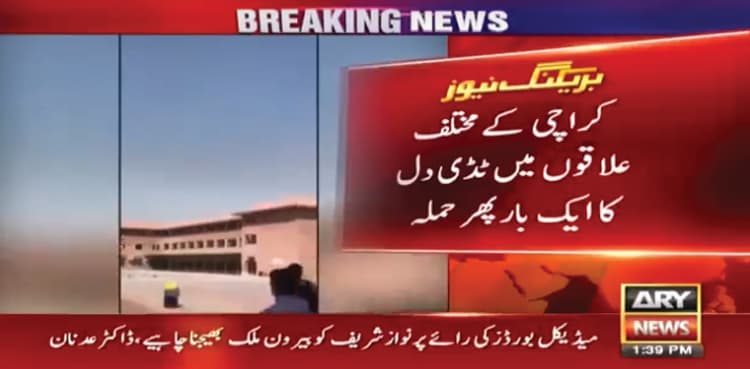 Swarms of locusts now land in Karachi, pose threat to farmlands, vegetation