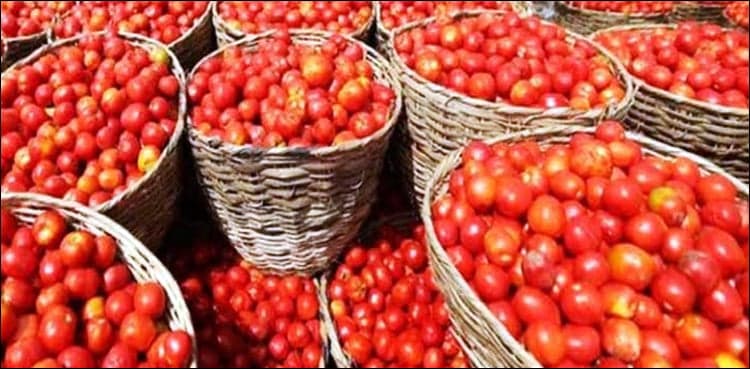 Imported tomatoes stabilize price in Karachi's wholesale market  
