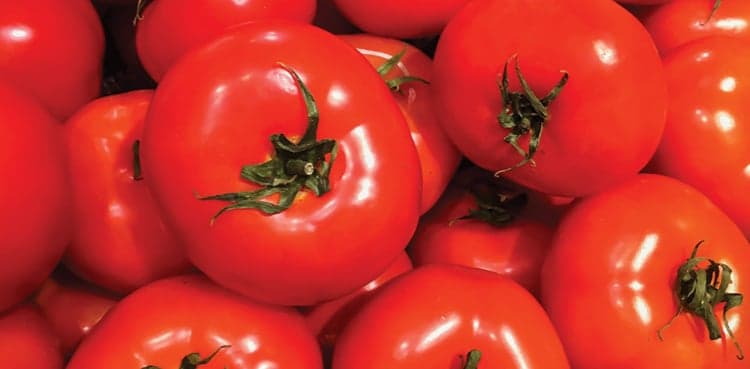 McDonald's drops tomatoes from India offerings