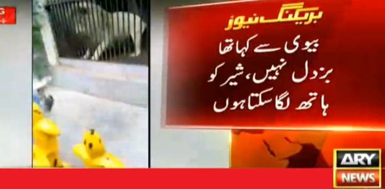 Director Karachi zoo holds keeper responsible for Lion attack