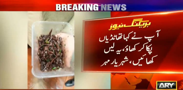 Member Sindh Assembly brings fried locusts as lunch