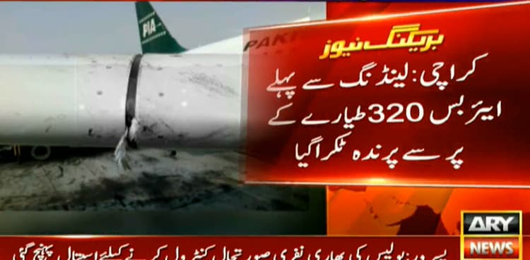Another PIA plane suffers damage after hitting a bird, lands safely