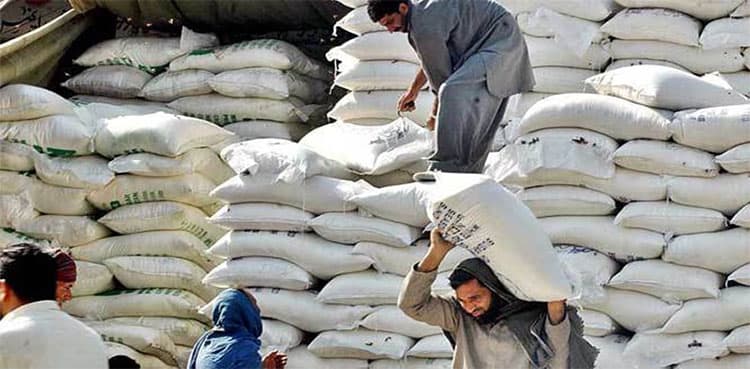 Sindh govt launches crackdown against flour hoarders in Karachi