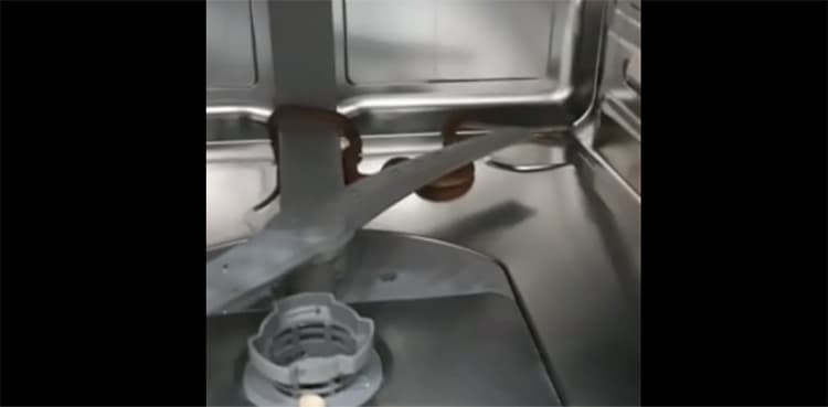 WATCH: Venomous snake jumps out of dish-washer