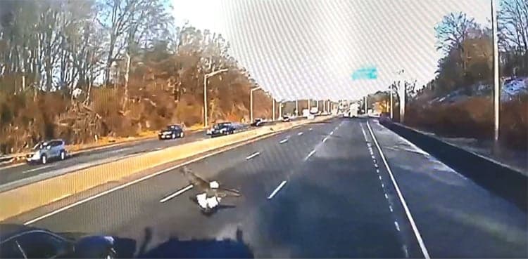 WATCH: Eagle smashes into moving truck on highway  