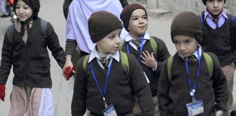 Shafqat Mehmood orders reduction in school fees