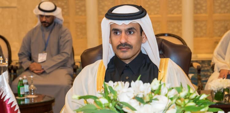 Qatar delays partnerships for natural gas expansion