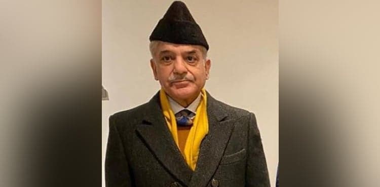 Murmurs rampant inside PMLN wanting Shehbaz Sharif's return: SAPM Awan
