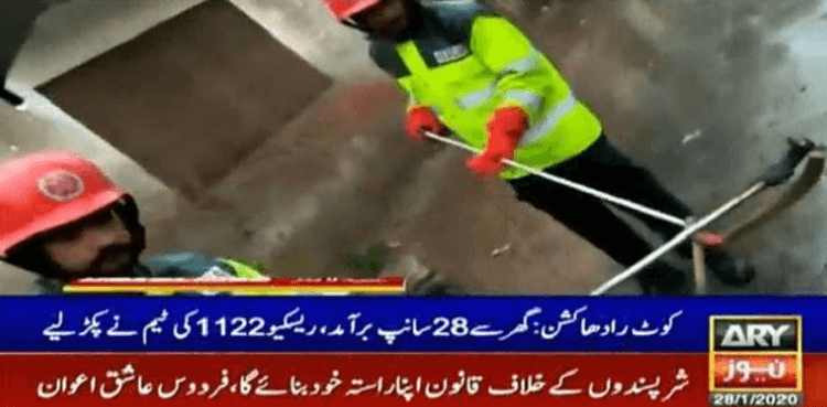 Twenty eight snakes found from man's house in Kot Radha Kishan