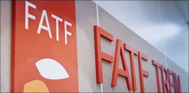 Pakistan implements 31 recommendations of FATF