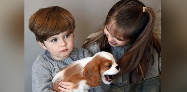 The 'supercells' that cured an infant's grave genetic illness