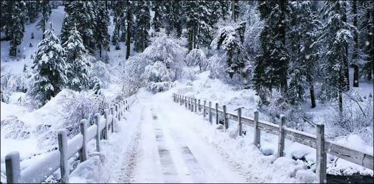 12 die, 29 injured in rain, snowfall related incidents in KP