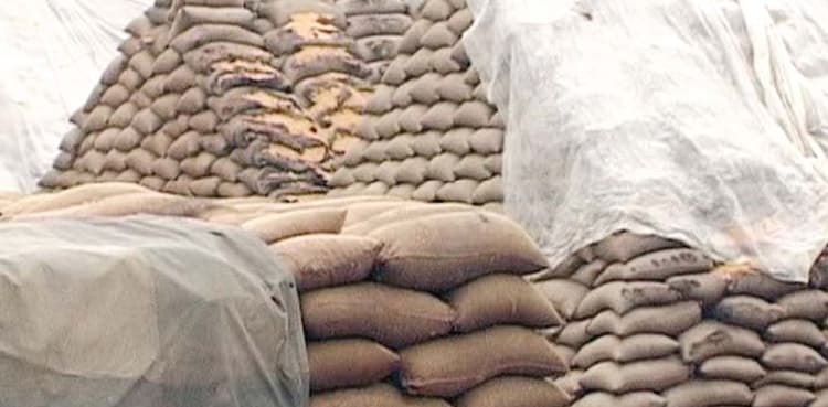 Prices witness sharp decline as imported wheat to reach Karachi tomorrow   