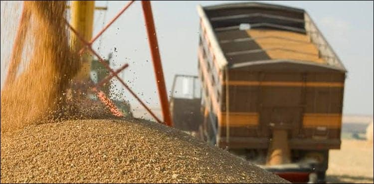 Pakistan's annual food imports increase by 64.45% in July, August: PBS