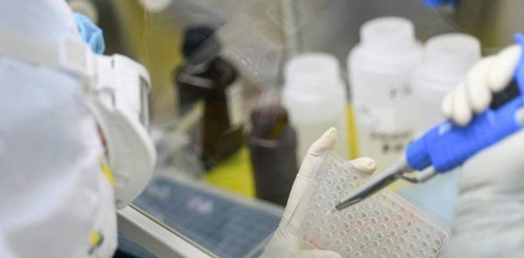 Scientists race to develop vaccine for new coronavirus