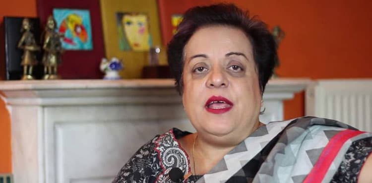 Shireen Mazari for enforcement of human rights laws