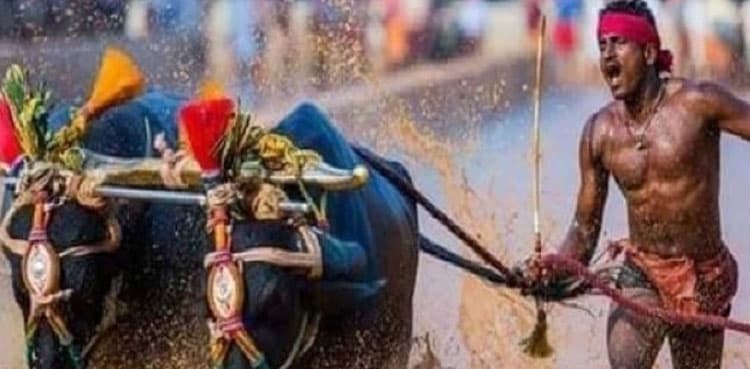 Indian labourer 'beats' Usain Bolt's 100-metre world record