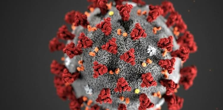 Woman, 63, falls victim to coronavirus in Karachi as Sindh's toll rises to 6