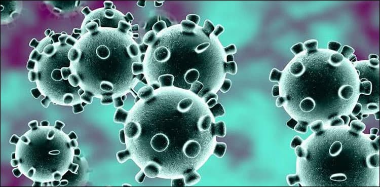 Govt reply sought on plea for evacuation of Pakistani students from virus epicentre