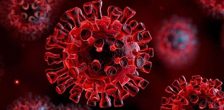 Coronavirus epidemic: US reports second death