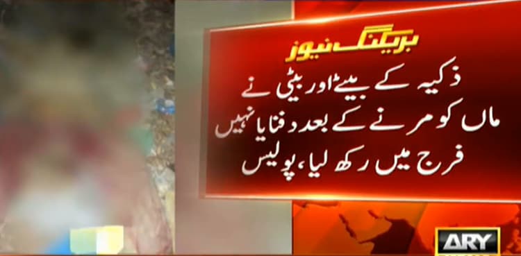 Woman's decade-old body recovered from freezer in Karachi