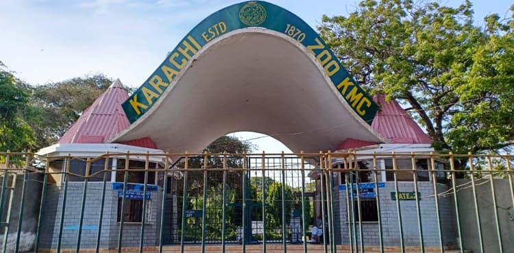 KMC closes Karachi zoo, other amusement parks over virus scare