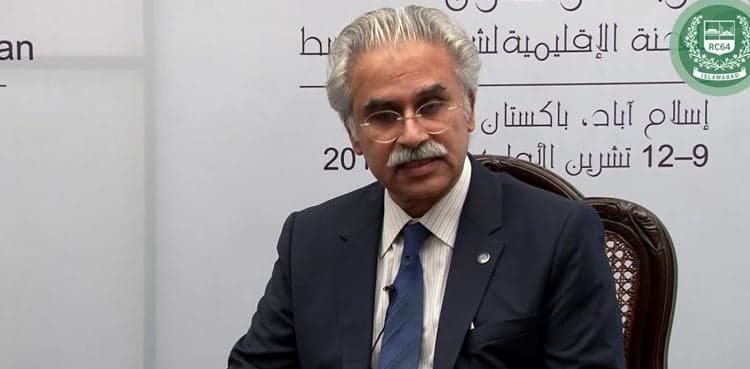 Experts determining use of chloroquine to treat coronavirus: PM aide