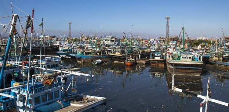 Govt orders halt to fishing related activities at Karachi harbour to stem virus