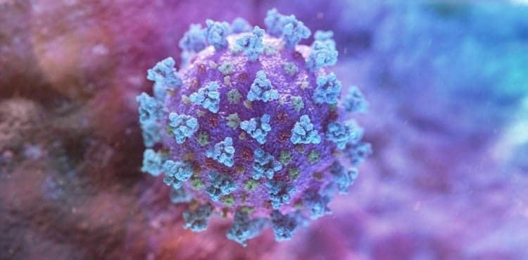 Punjab's coronavirus tally nears 5500 mark, number of dead rise to 81