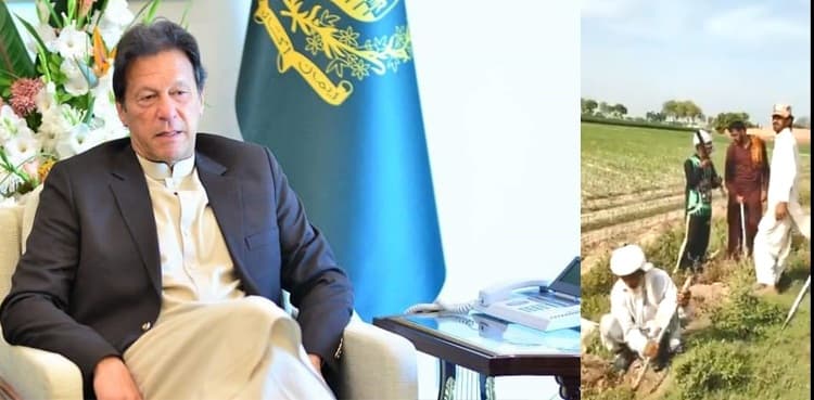 'Every initiative counts': PM says employing daily wagers in '10 Billion Tree' drive