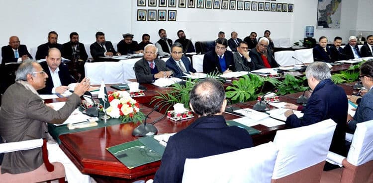 ECC directs food ministry to accelerate efforts for wheat import