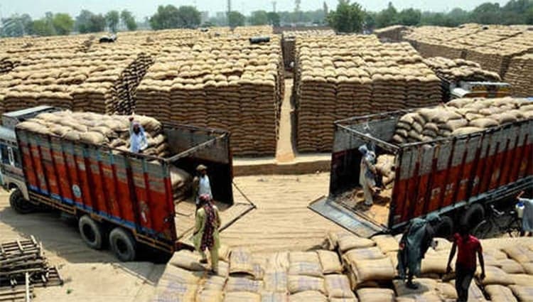 Sindh imposes ban on transportation of wheat