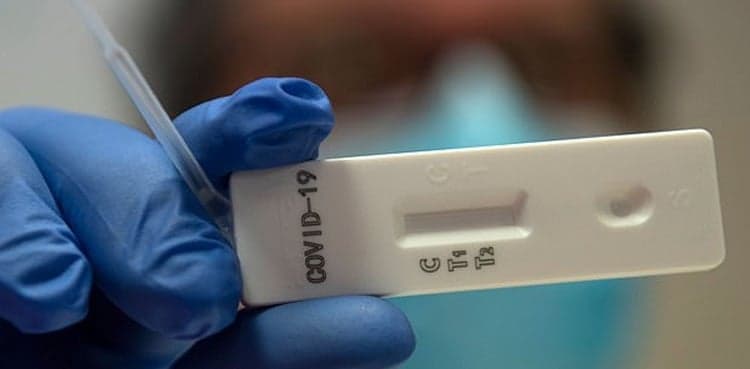Punjab sees 1365 new coronavirus cases, death toll climbs to 1,495