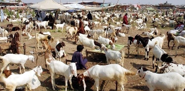 Eid al-Adha 2026 likely date revealed in Pakistan
