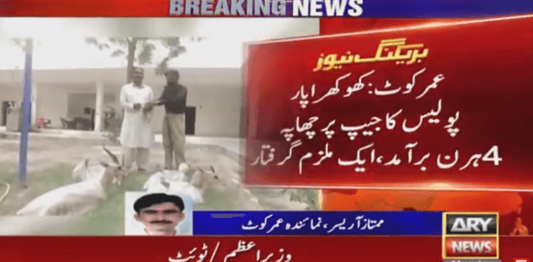 Man arrested for smuggling four deer in Umerkot