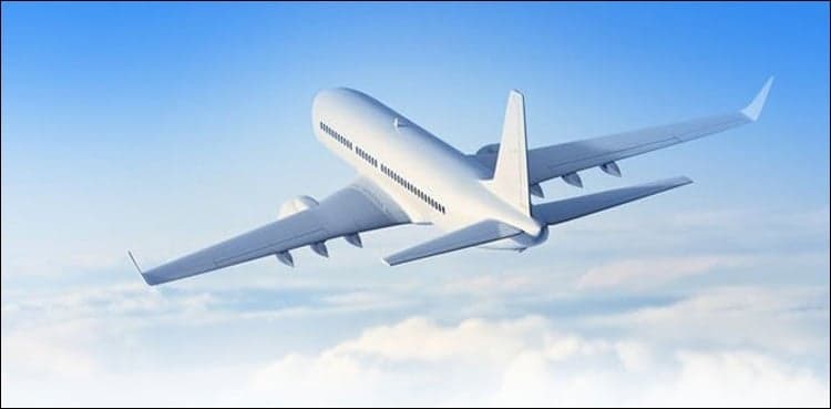Pandemic-hit airline launches plane dining and takeaway cabin food
